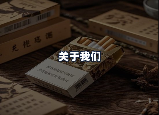 关于我们